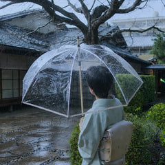 The Japanese Transparent Umbrella by White Rose