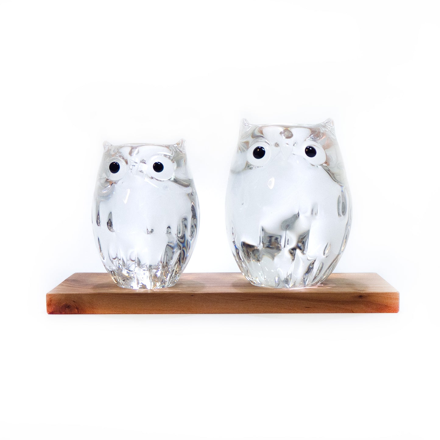 Parent and Child Owls