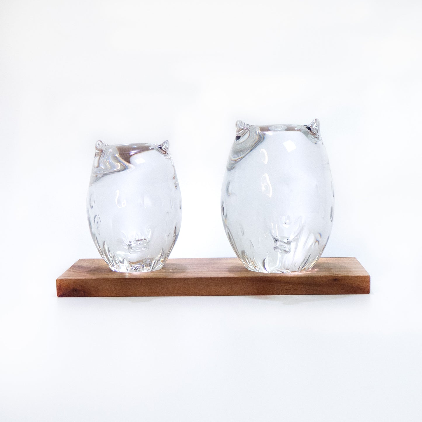 Parent and Child Owls