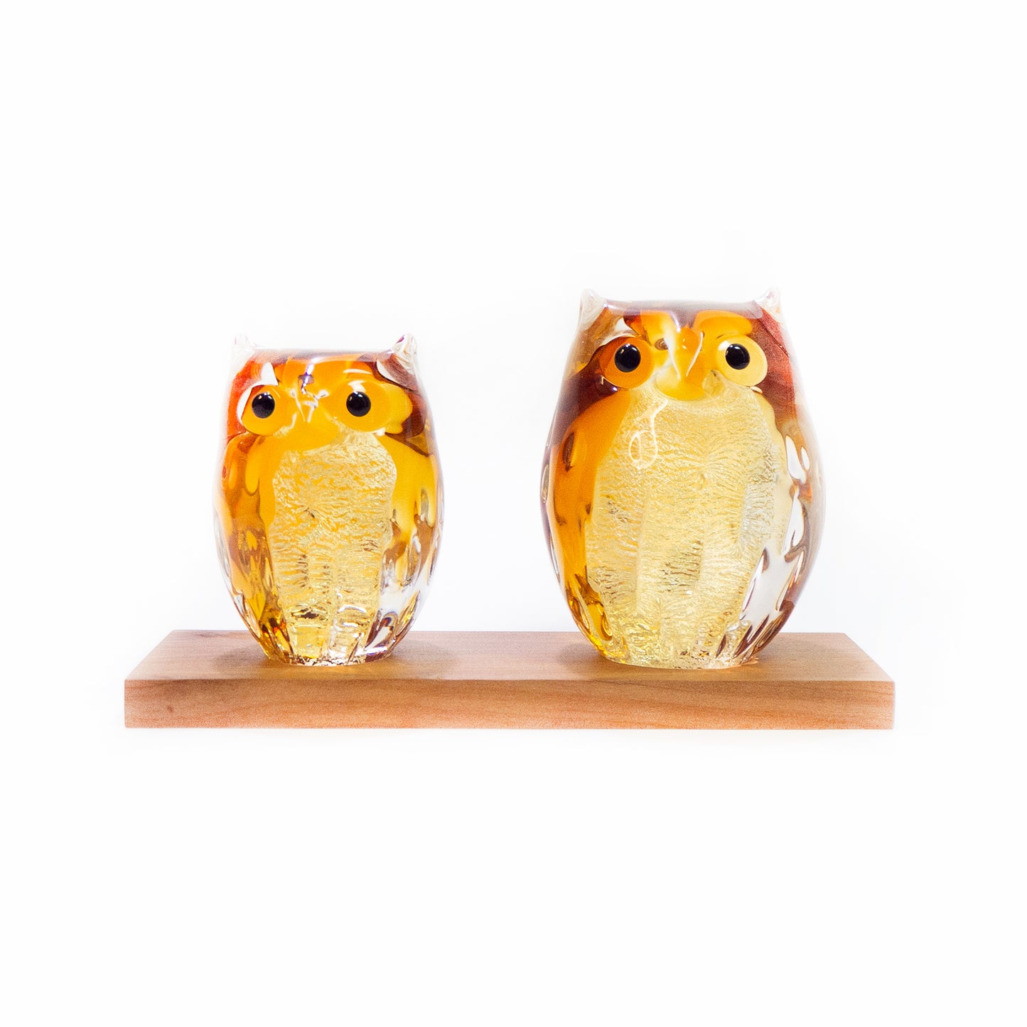 Parent and Child Owls