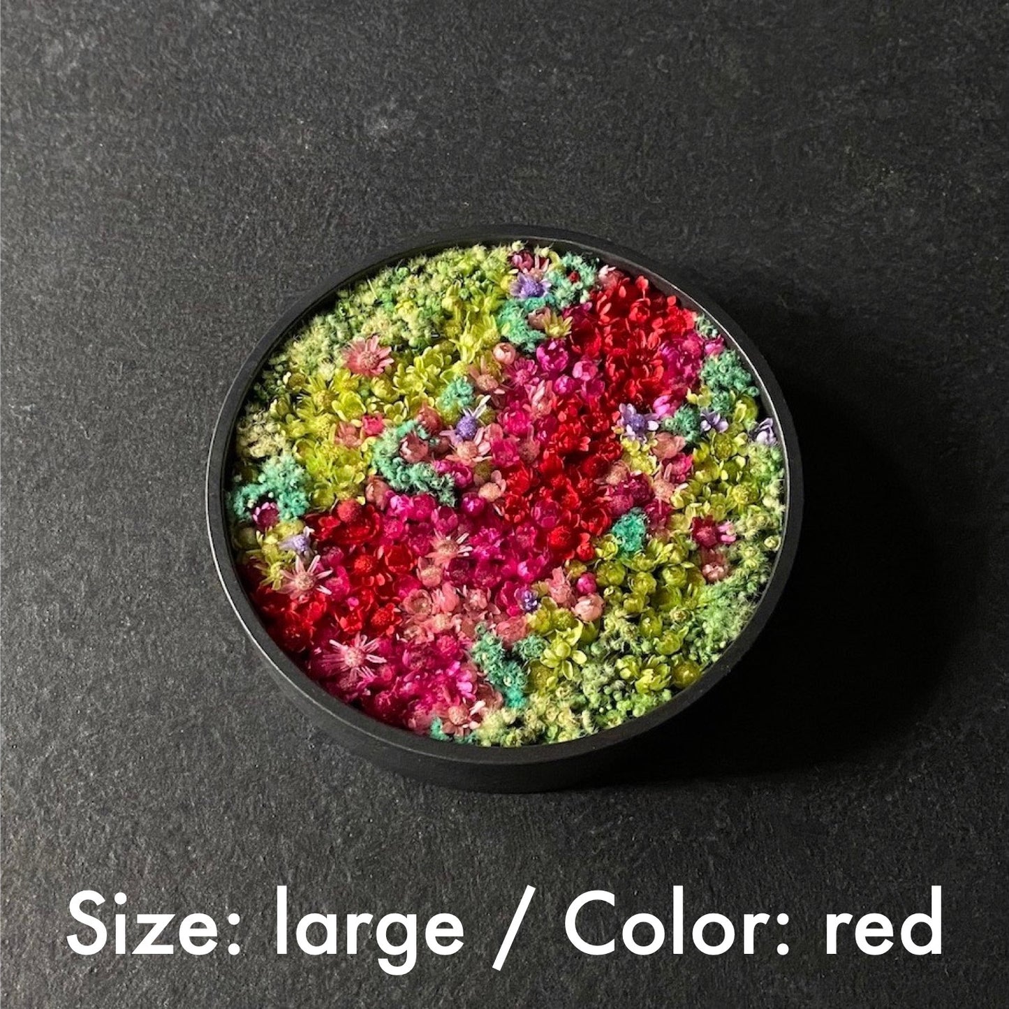 Size: large / color: red