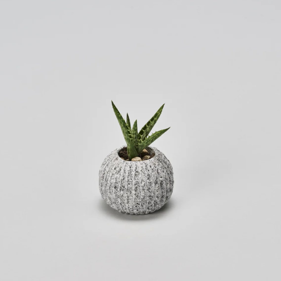 Aji Stone OT- Vase Sabo