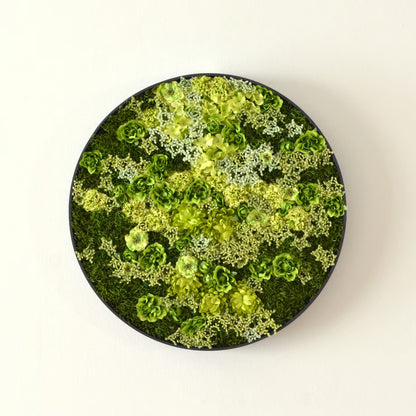Small / Green