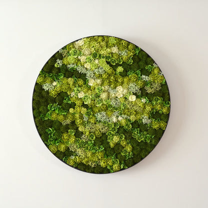 Medium / Green