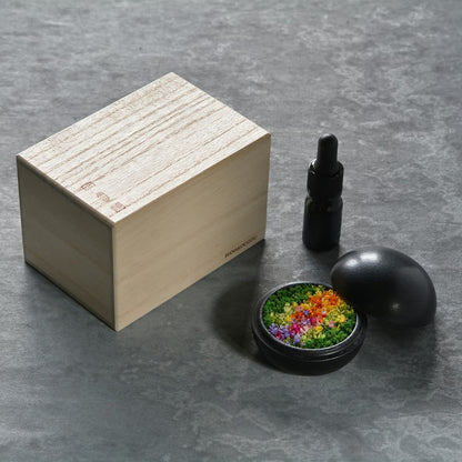 Preserved Flower Art Piece "Hanakogo"