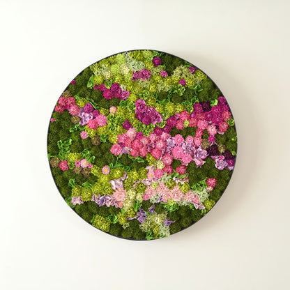 Medium / Pink