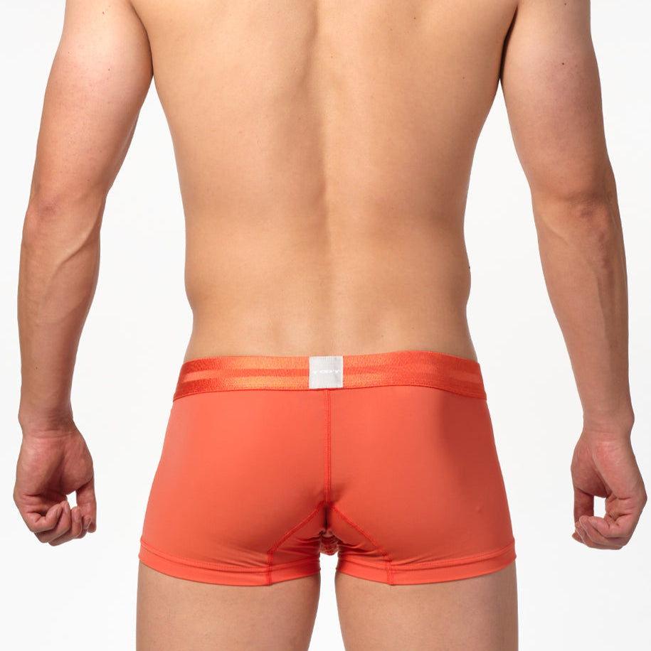 Men's Underwear "ReNew TOOT Nylon"