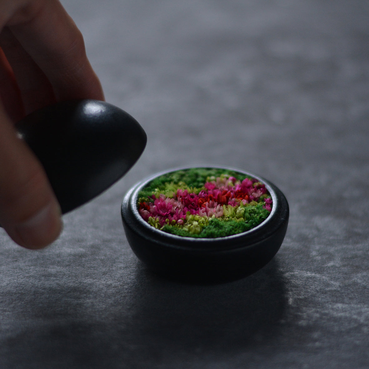 Preserved Flower Art Piece "Hanakogo"