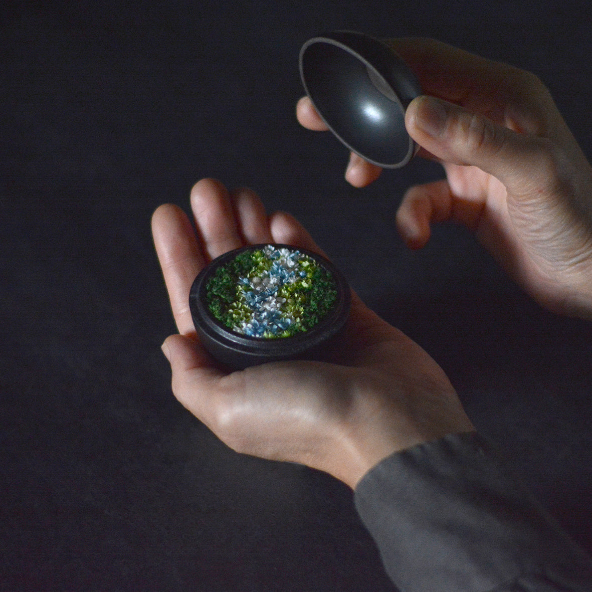 Preserved Flower Art Piece "Hanakogo"