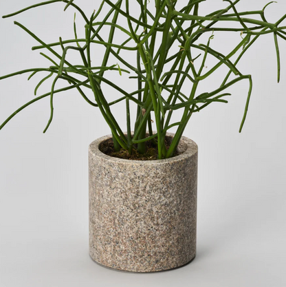 Aji Stone Stand / 110S Sabi<br>φ110*115 mm / 1.6 kg