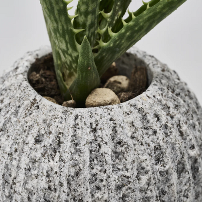 Aji Stone OT- Vase Sabo / A