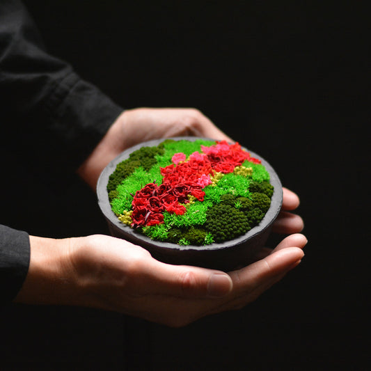 Preserved Flower Art Piece "Hanayama preserved flower"