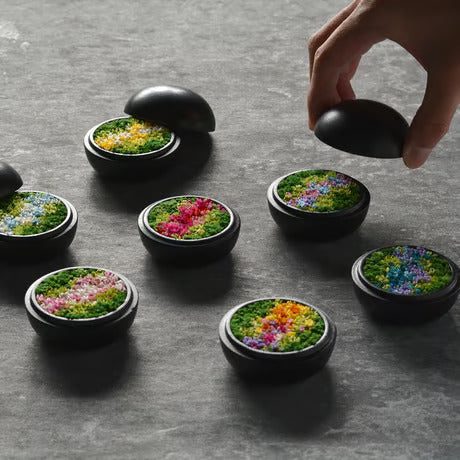 Preserved Flower Art Piece "Hanakogo"