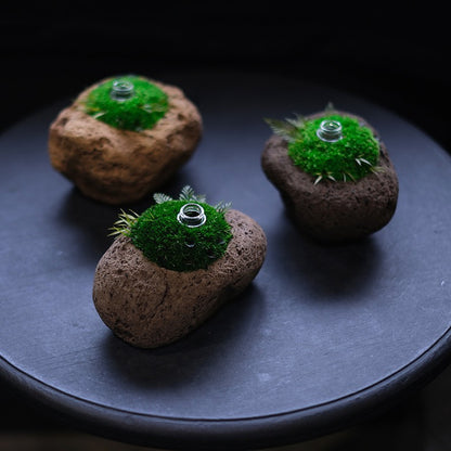 Preserved Flower Art Piece "Tokiyama Ukiishi"