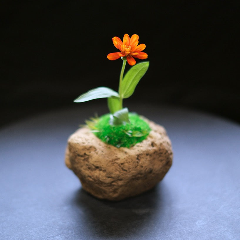 Preserved Flower Art Piece "Tokiyama Ukiishi"