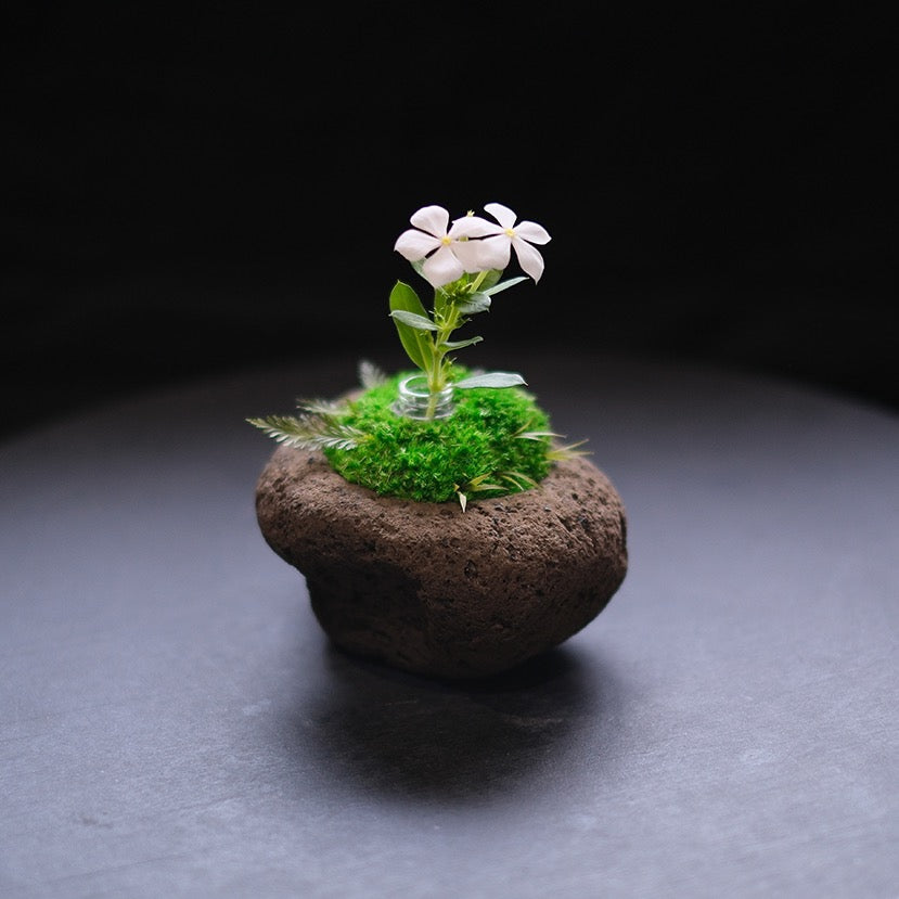 Preserved Flower Art Piece "Tokiyama Ukiishi"