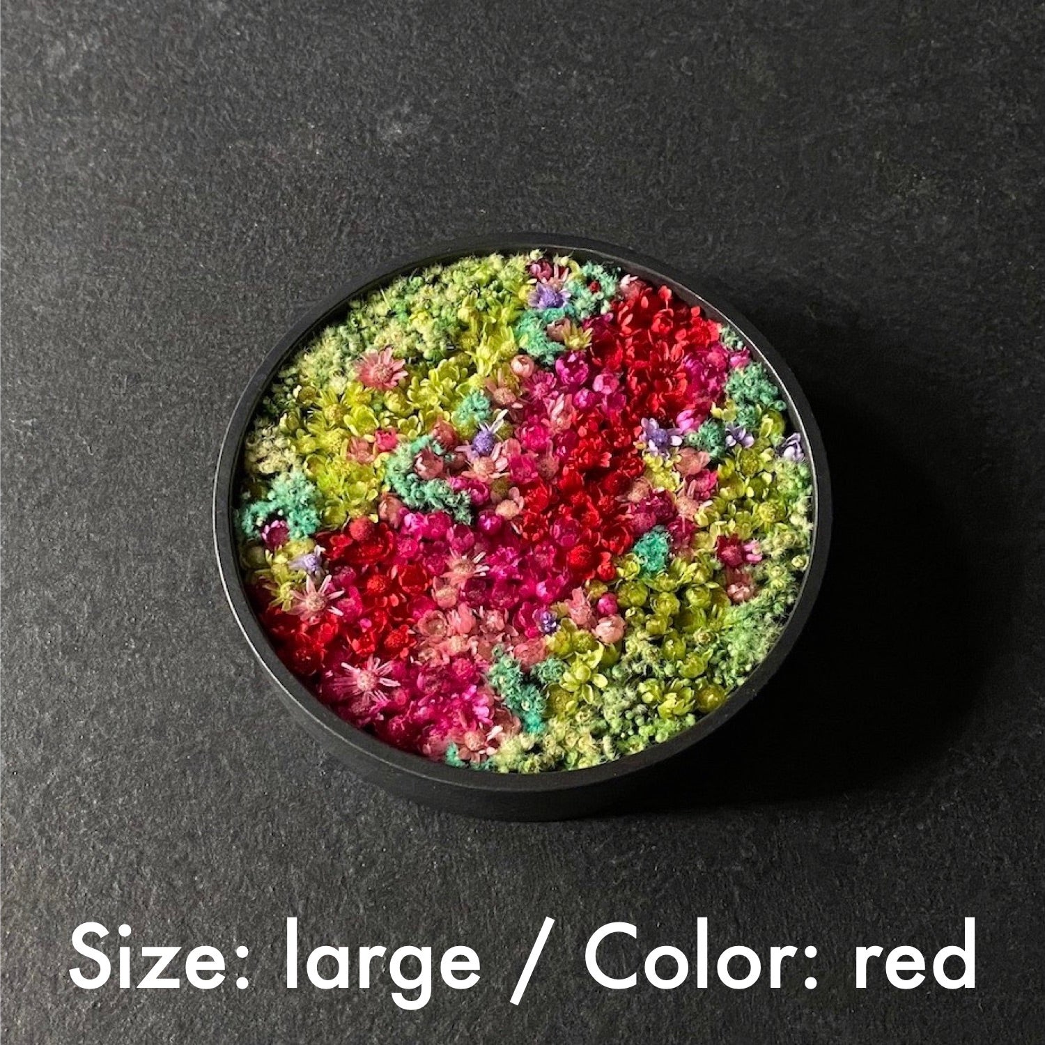 Size: large / color: red