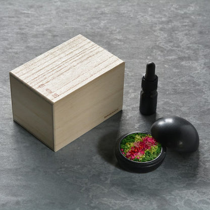Preserved Flower Art Piece "Hanakogo"