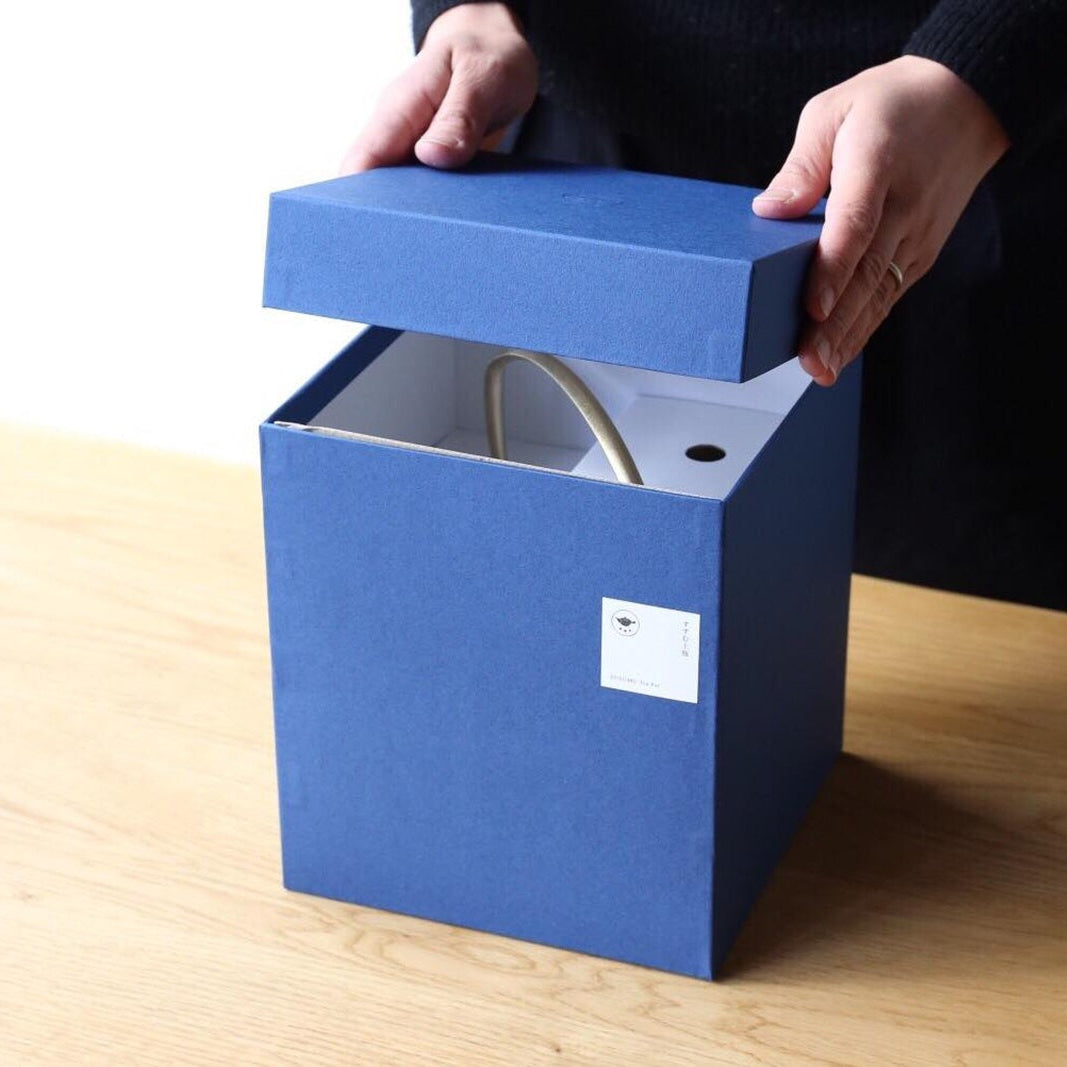 Delivered in its own dedicated box