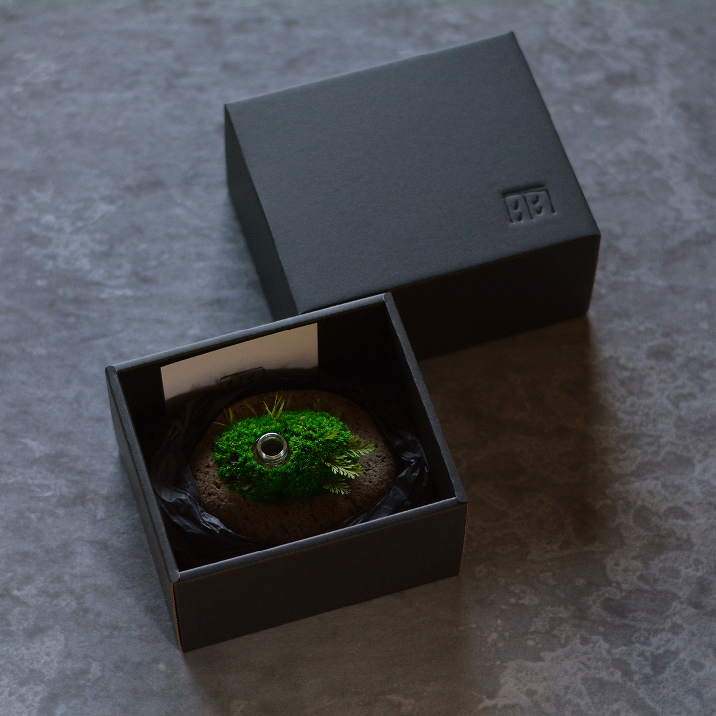 Preserved Flower Art Piece "Tokiyama Ukiishi"