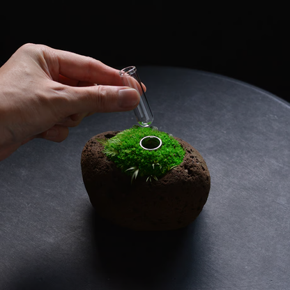 Preserved Flower Art Piece "Tokiyama Ukiishi"