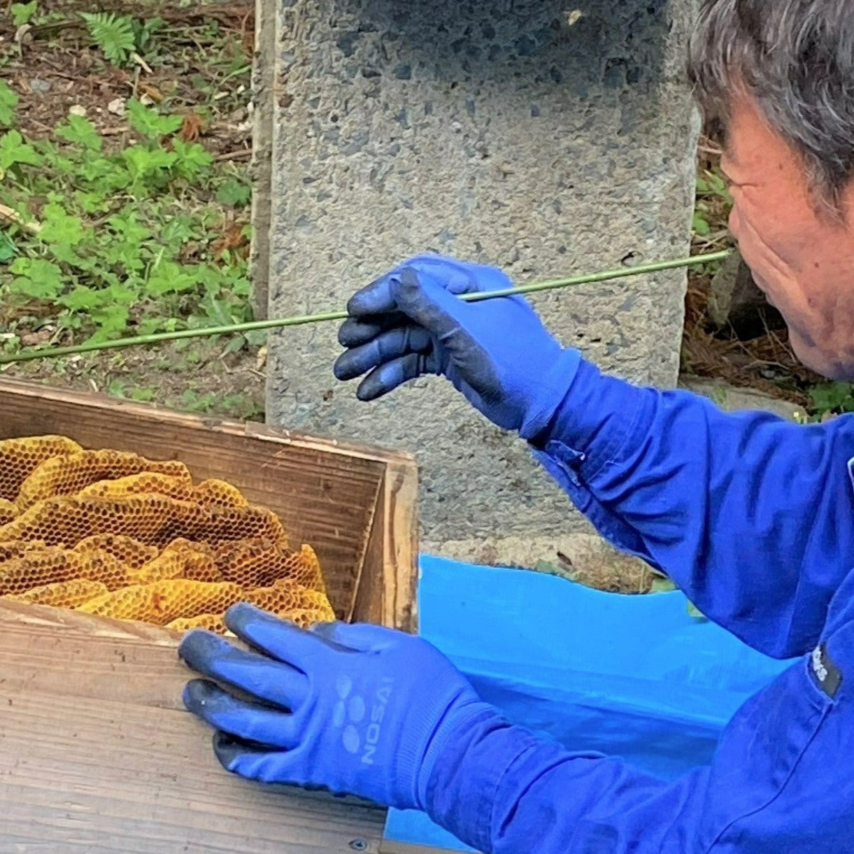 Raw Japanese Honeybee Honey from Kagoshima