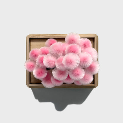 Okahan Hako no Matsu — The Boxed Pine<br>Small / Sakuramatsu (Pink)
