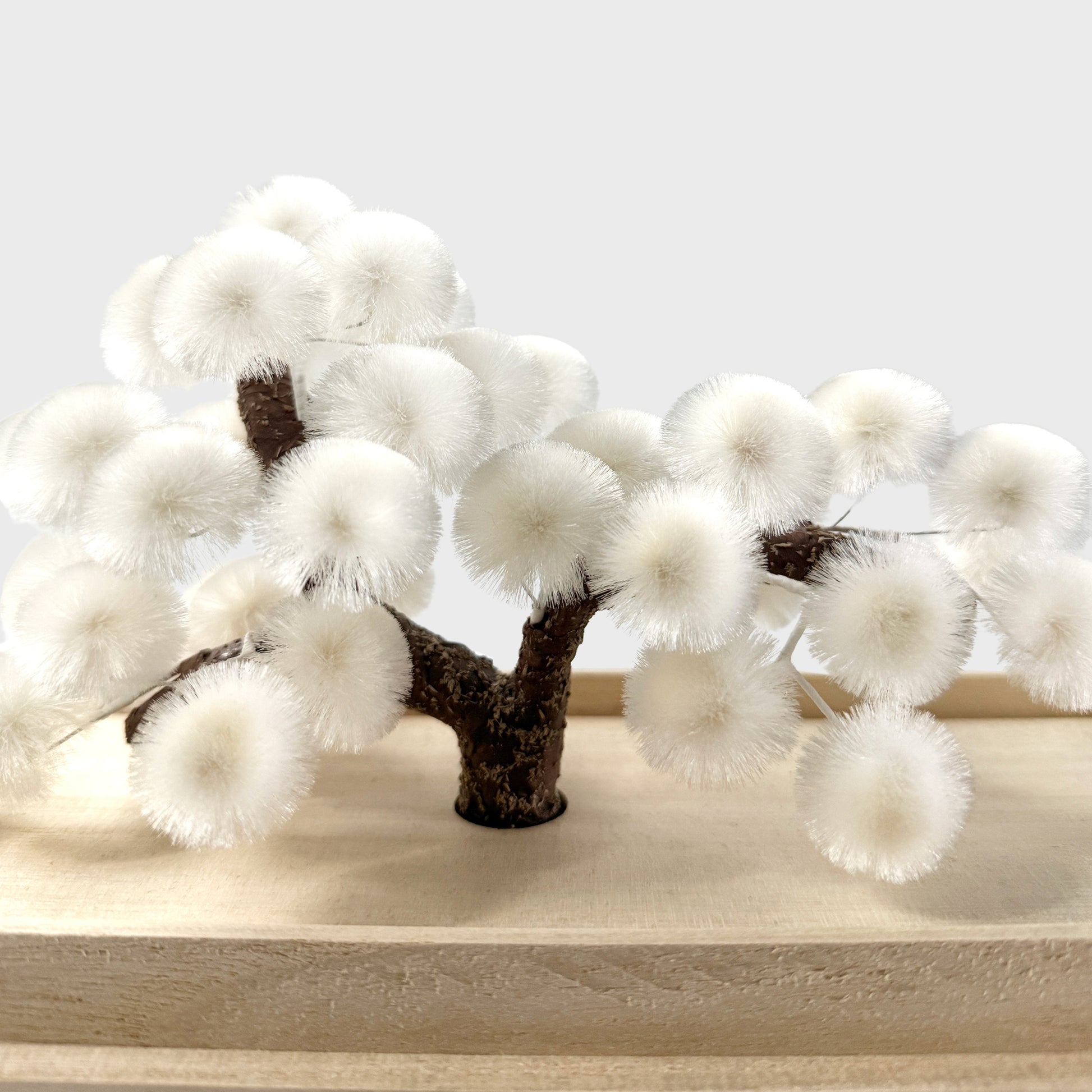 Okahan Hako no Matsu — The Boxed Pine<br>Large / Yukimatsu (White)