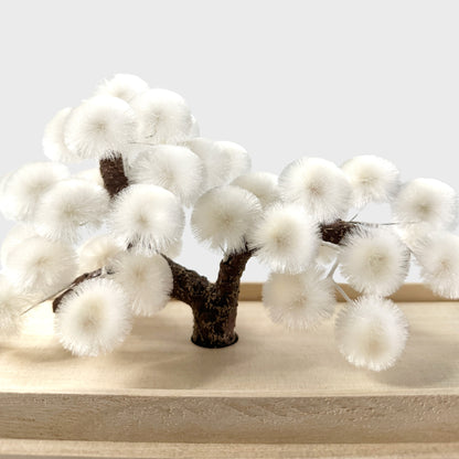 Okahan Hako no Matsu — The Boxed Pine<br>Large / Yukimatsu (White)