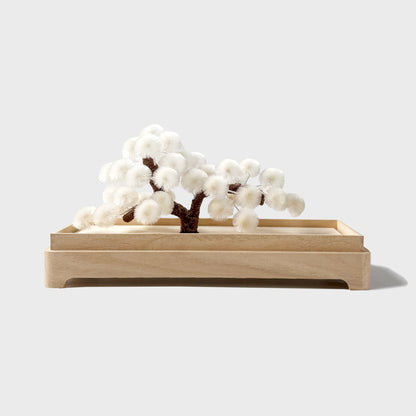 Okahan Hako no Matsu — The Boxed Pine<br>Large / Yukimatsu (White)