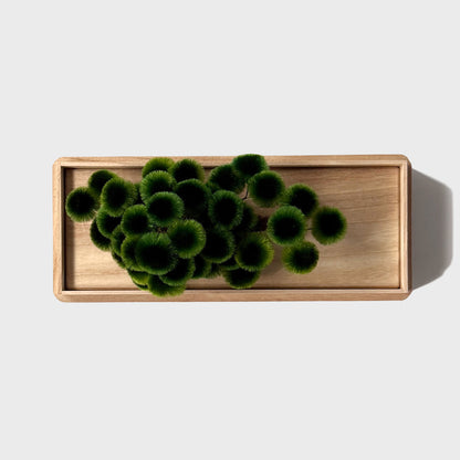 Okahan Hako no Matsu — The Boxed Pine<br>Large / Tomiwamatsu (Green)