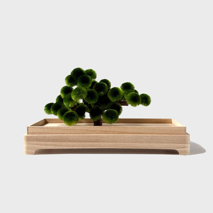 Okahan Hako no Matsu — The Boxed Pine<br>Large / Tomiwamatsu (Green)