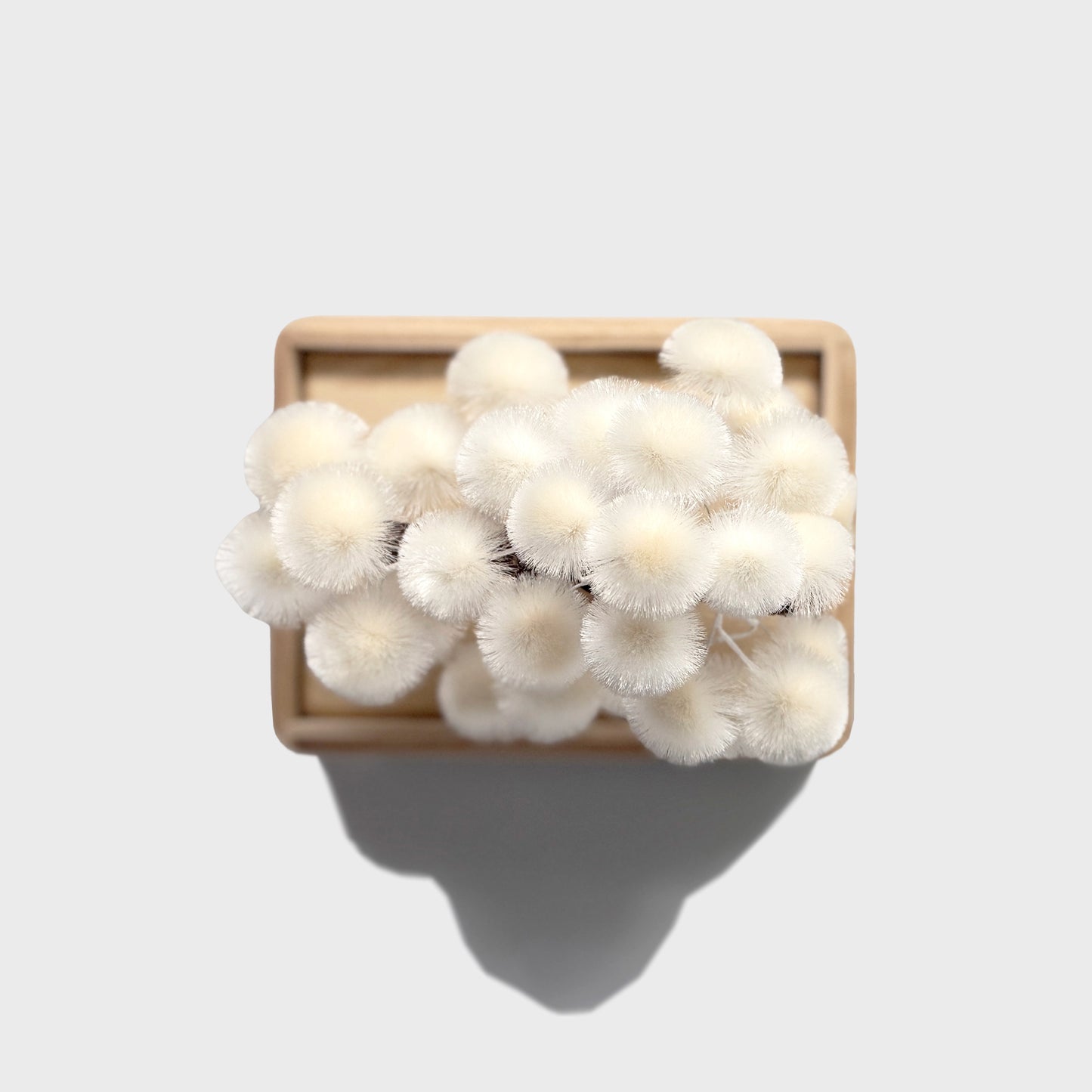 Okahan Hako no Matsu — The Boxed Pine<br>Small / Yukimatsu (White)