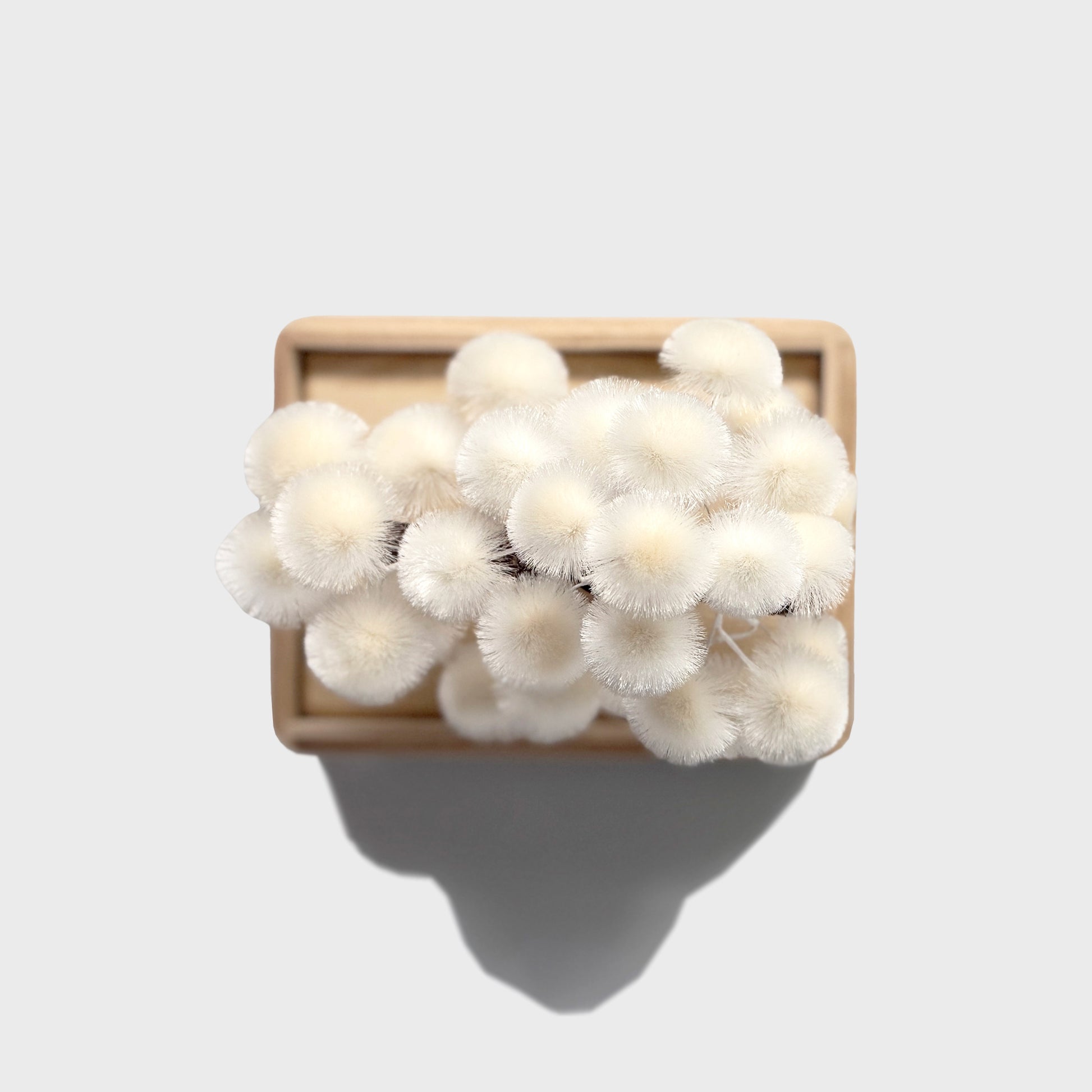 Okahan Hako no Matsu — The Boxed Pine<br>Small / Yukimatsu (White)
