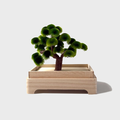 Okahan Hako no Matsu — The Boxed Pine<br>Small / Tokiwamatsu (Green)