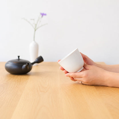 Susumu Chaten Kyusu Teapot & Japanese Sencha Set