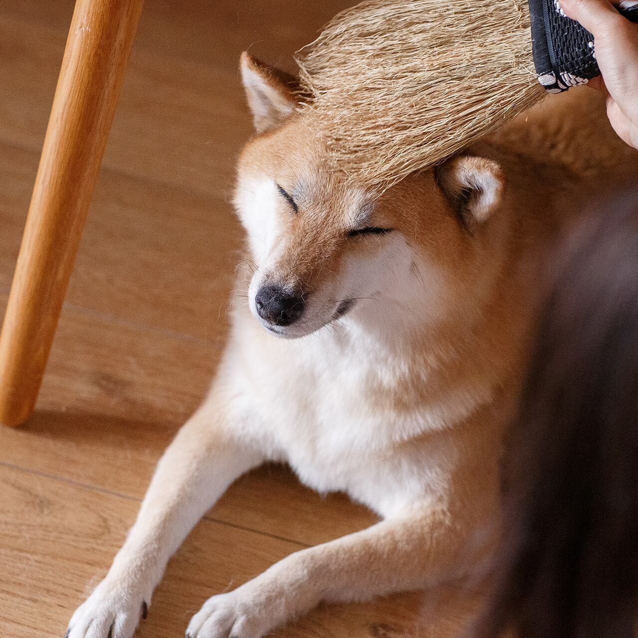 Nambu Pet Brush