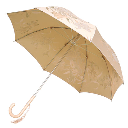 Beautiful and elegant umbrella